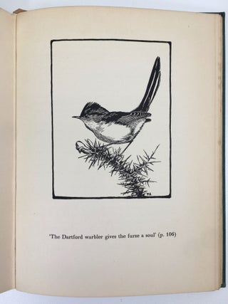 A Bird in the Bush